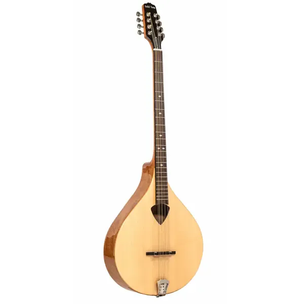 Бузуки Gold Tone BZ-500 Irish Bouzouki Mandolin w/ Hard Case