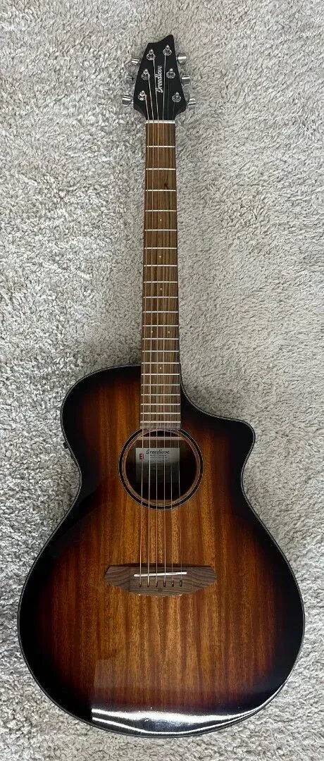 Электроакустическая гитара Breedlove ECO Discovery S CE Edgeburst