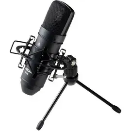 Студийный микрофон Tascam TM-80 (B)