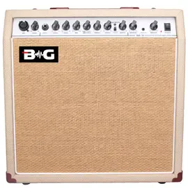 Комбоусилитель для акустической гитары BG WA30 1x10 30W