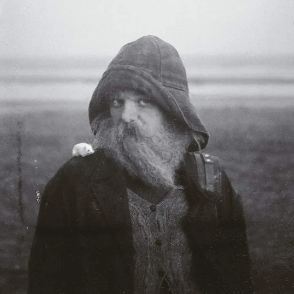 Mary in the Junkyard - Role Model Hermit NEW Vinyl