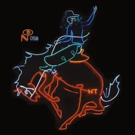 Виниловая пластинка Various – Wayfaring Strangers: Cosmic American Music 2016