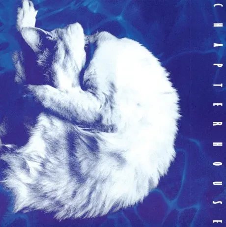 Виниловая пластинка CHAPTERHOUSE – Whirlpool Цветной винил