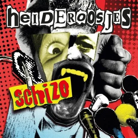 Виниловая пластинка HEIDEROOSJES – Schizo