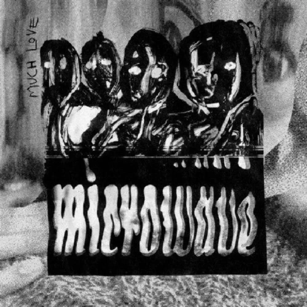 Виниловая пластинка Microwave – Much Love Релиз 2024