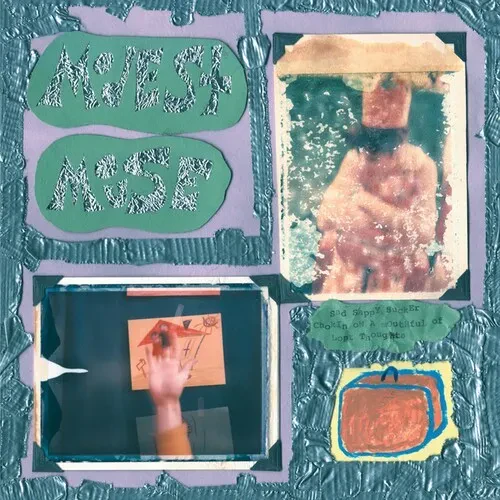 Виниловая пластинка Modest Mouse – Sad Sappy Sucker (Релиз 2014)