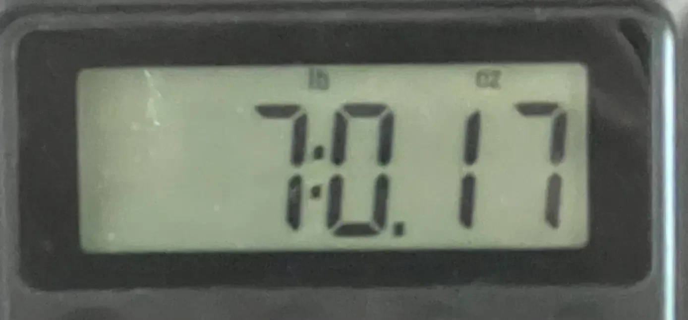 Изображение №10