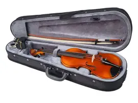 Скрипка Hora SKR100-1/2 Student в футляре со смычком