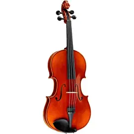 Скрипка Ren Wei Shi Academy II Series Violin Outfit 1/8