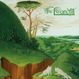 Виниловая пластинка Fruit Bats – The Landfill Релиз 2026