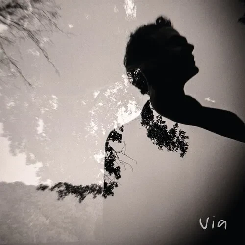 Виниловая пластинка Via - Via [New Vinyl LP]