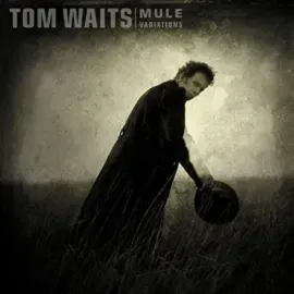 Виниловая пластинка Tom Waits – Mule Variations
