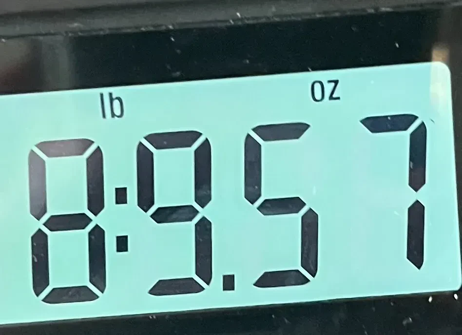 Изображение №9