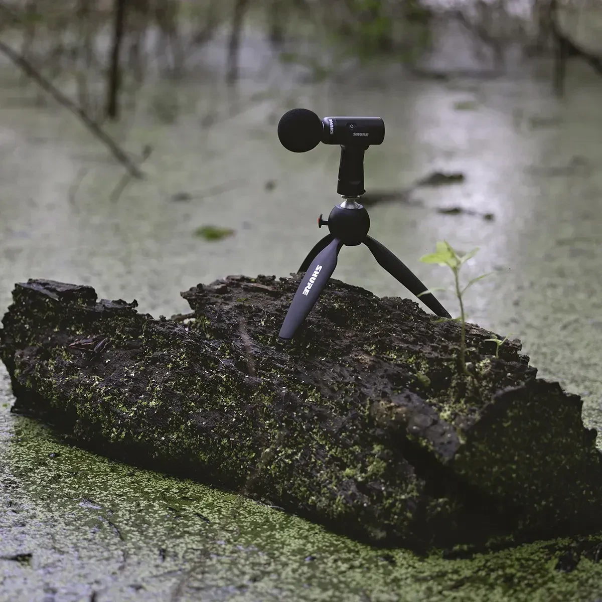 Изображение №12