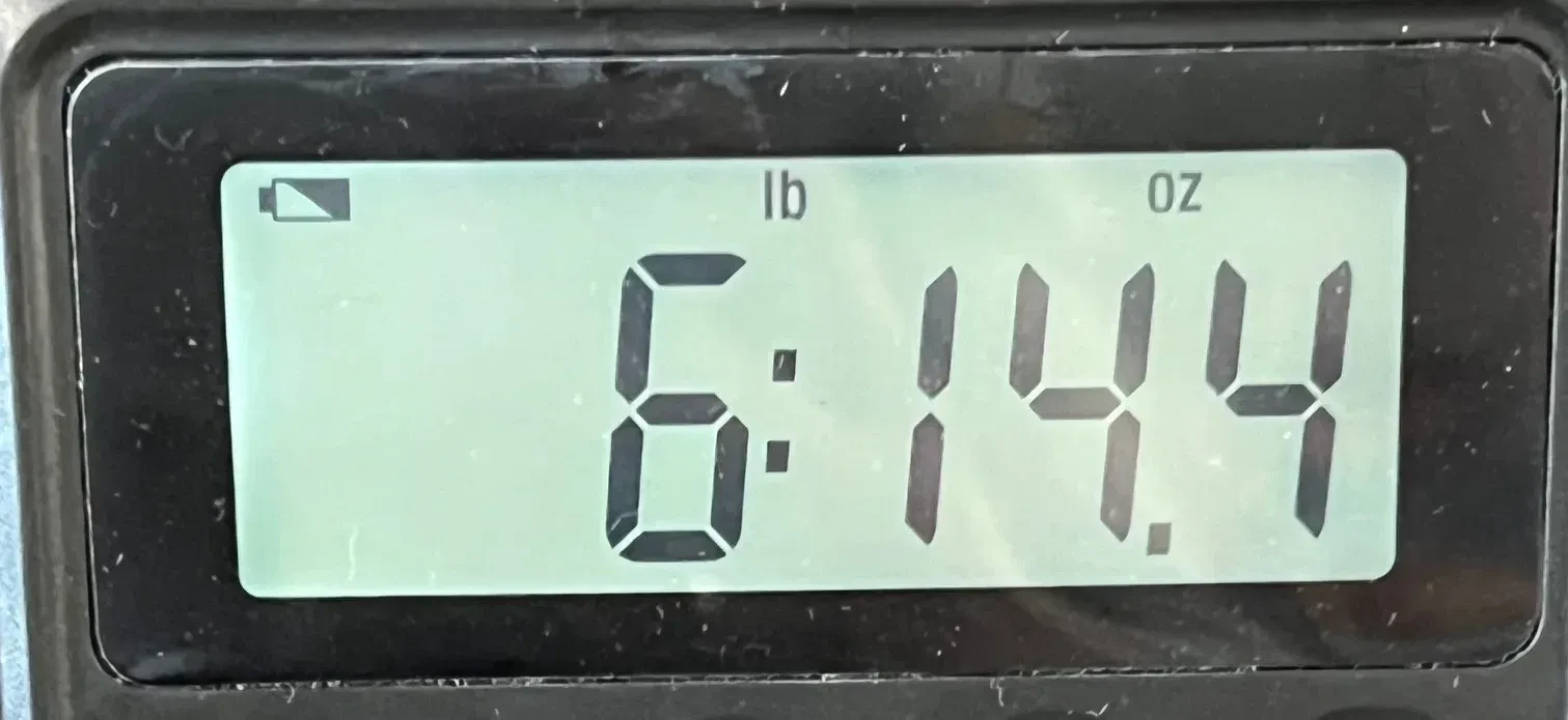 Изображение №9