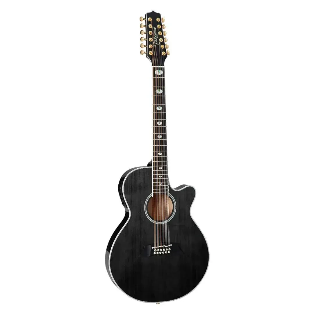 Takamine Made in Japan Thinline Acoustic Electric Guitar with Case Black