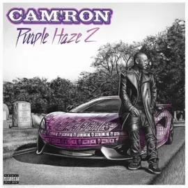 Виниловая пластинка Cam'ron - Purple Haze 2 [New Vinyl LP] Purple