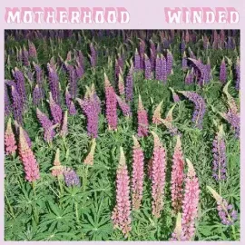 Виниловая пластинка Motherhood – Winded 2022