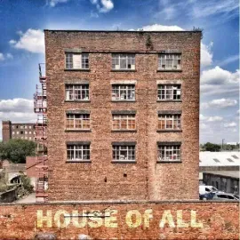 Виниловая пластинка House of All - House Of All [New Vinyl LP]