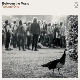 Виниловая пластинка Various Artists - End Of The Road Presents: Between The Music / Var [New Vinyl L