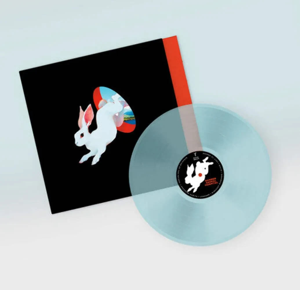 Виниловая пластинка Ganser – Animal Hospital (Релиз 2025)