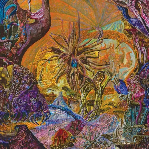 Виниловая пластинка Slimelord - Chytridiomycosis Relinquished - Orange/royal Blue [New Vinyl LP] Blu