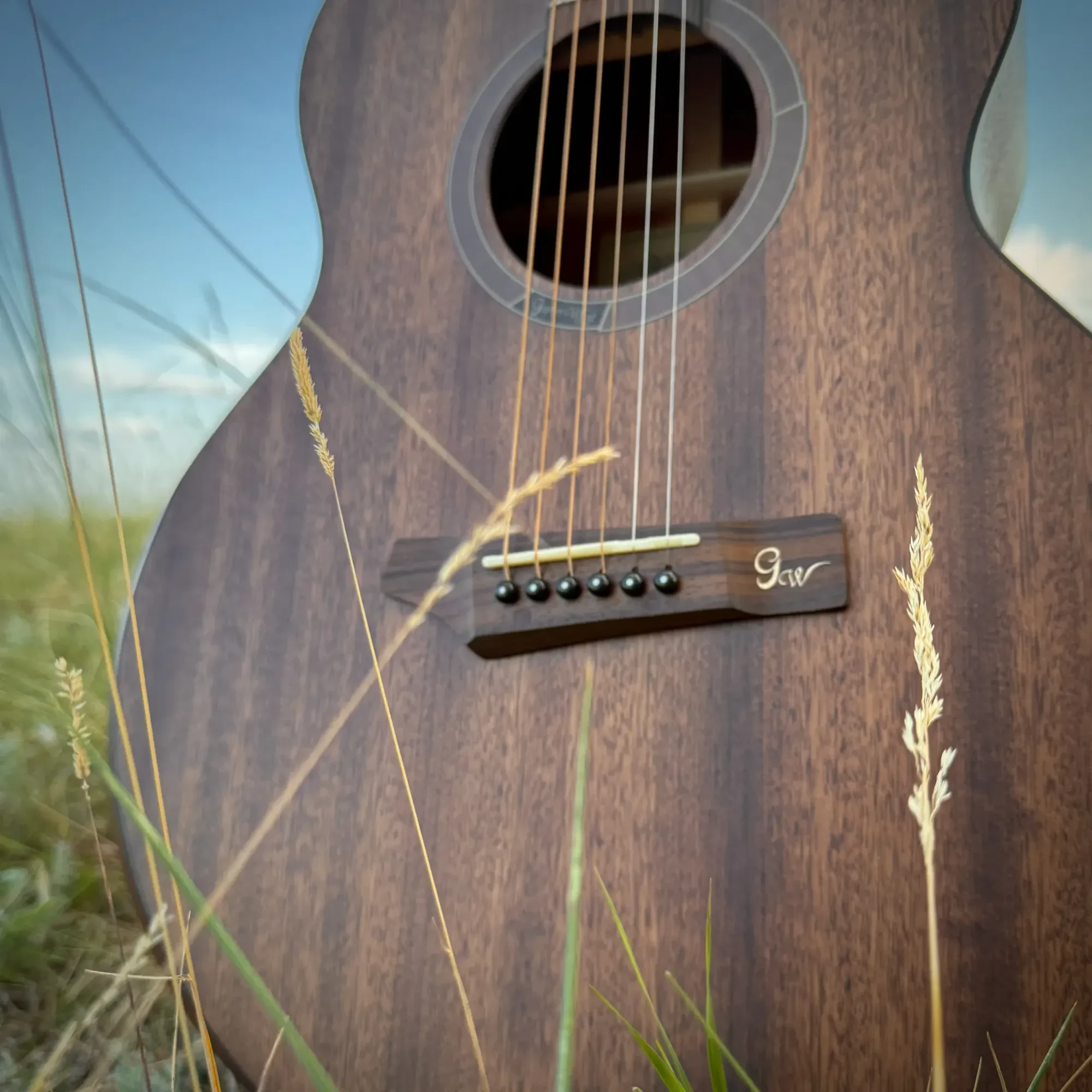 Изображение №2