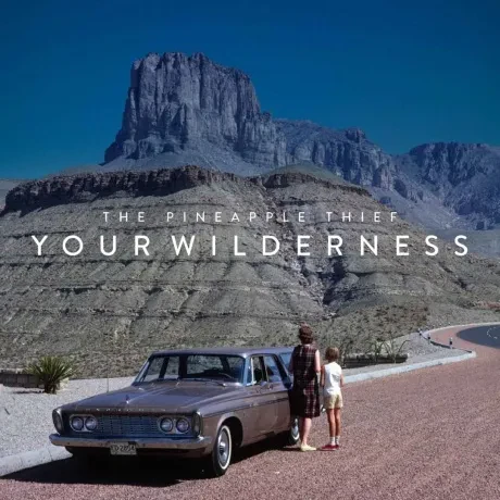 CD-диск The Pineapple Thief – Your Wilderness