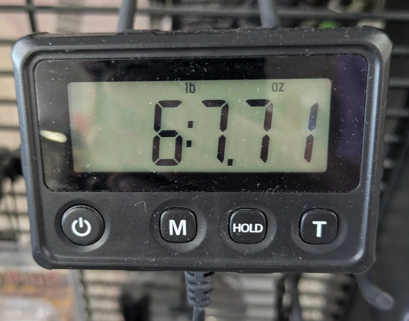 Изображение №2