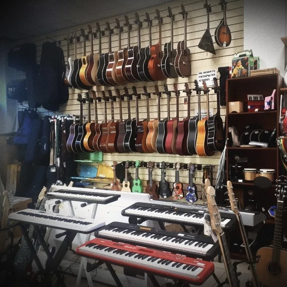 SKIFMUSIC — музыкальный магазин в Пушкино