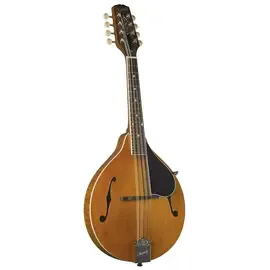 Мандолина Kentucky KM-252 Artist A-Model Mandolin Blonde