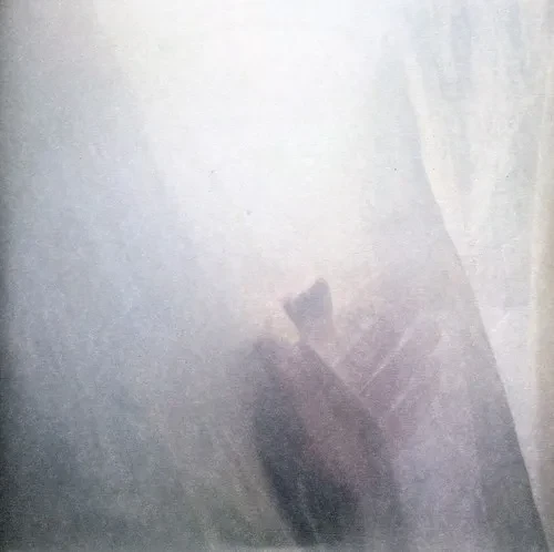 Виниловая пластинка Sun Airway - Wild Palms b/w Symphony In White, No. 2 [New 7" Vinyl]