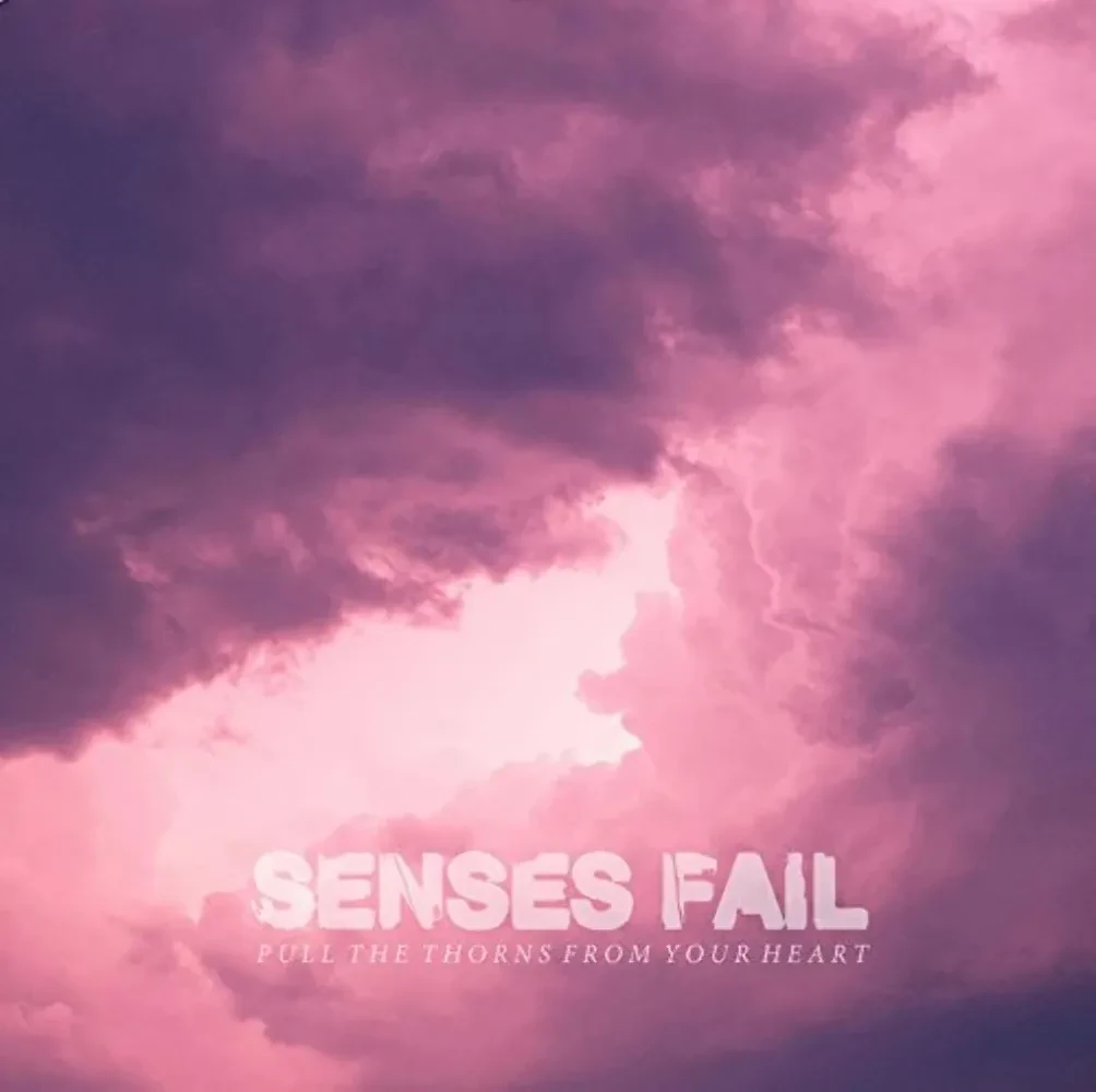 Senses Fail - Pull The Thorns From Your Heart NEW Vinyl
