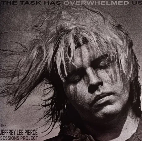 Виниловая пластинка Various – The Task Has Overwhelmed Us (2LP)