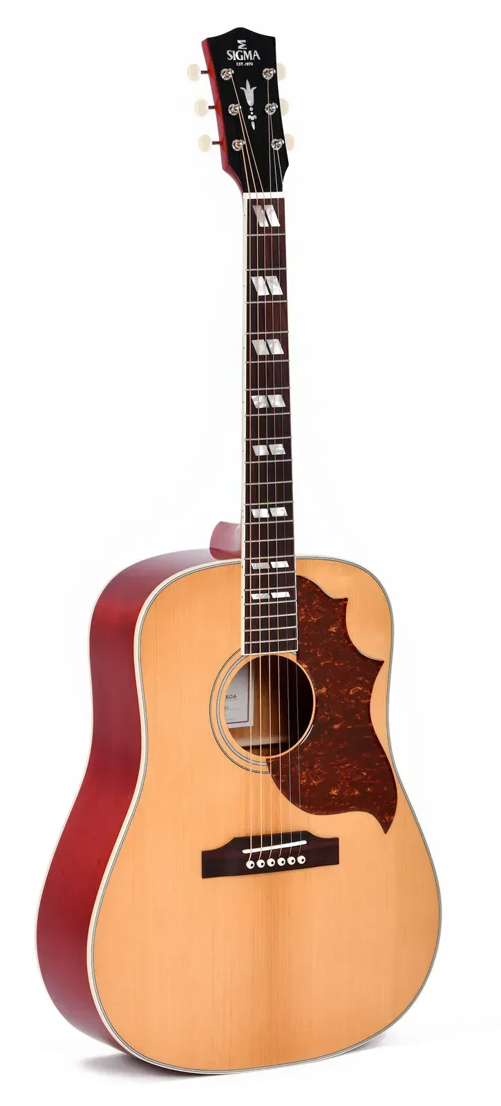 Акустическая гитара Sigma Guitars SDM-SG6 Special Dreadnought