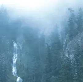 Виниловая пластинка Wolves in the Throne Room - Diadem Of 12 Stars [New Vinyl LP]