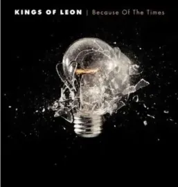 Виниловая пластинка Kings of Leon – Because of the Times, 180 г, переиздание, Sealed