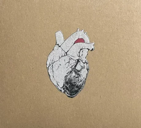 SWANS - The Beggar (2CD)