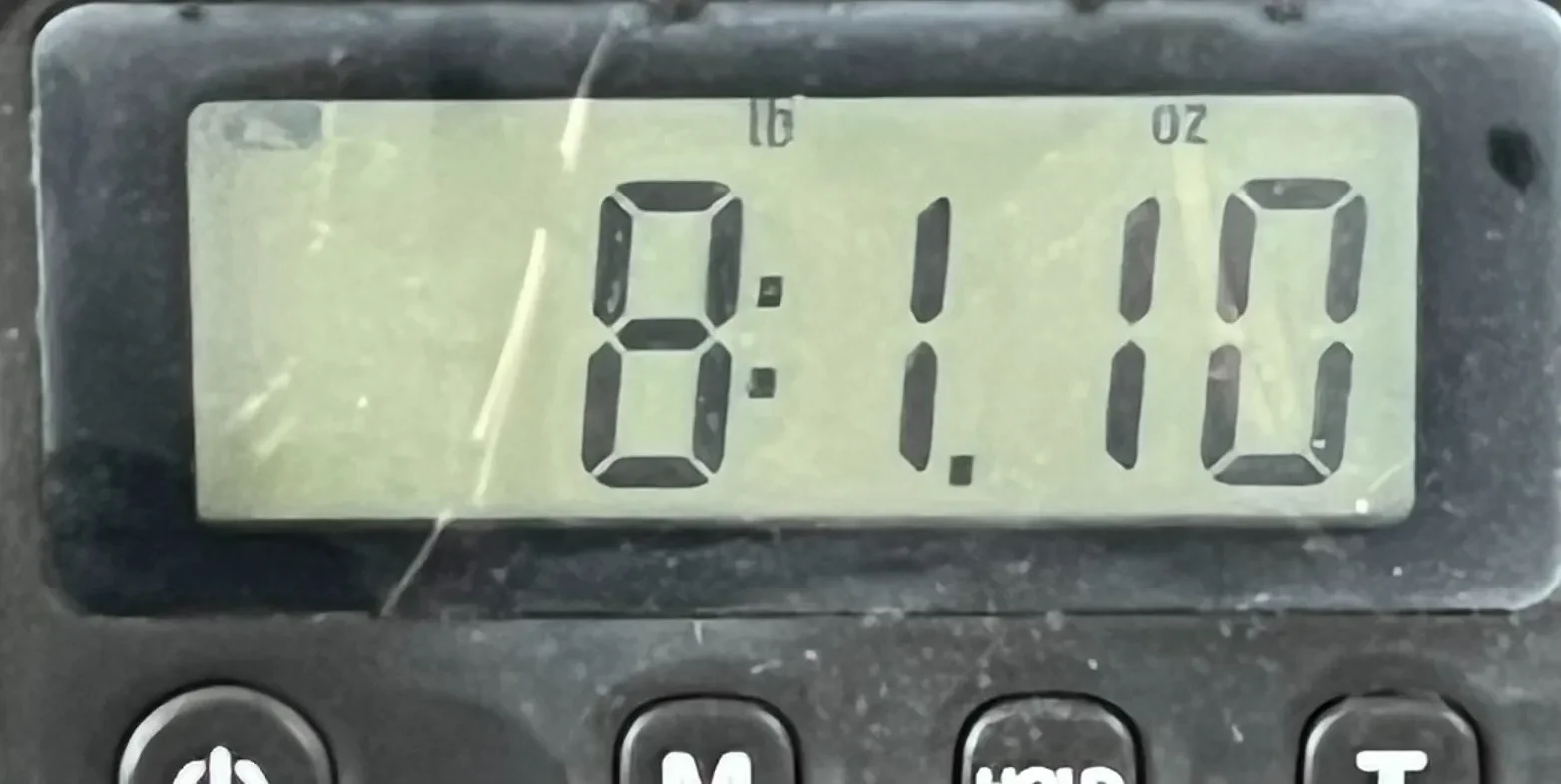 Изображение №8