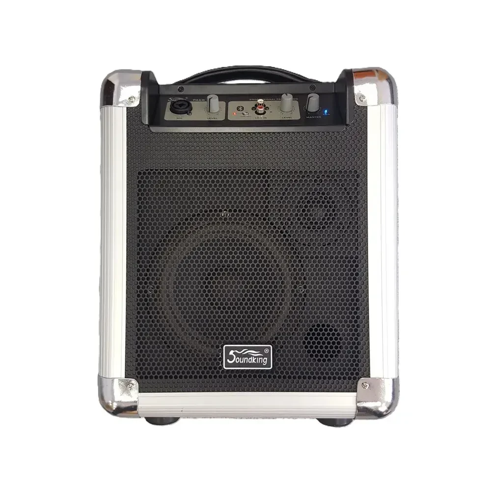 Портативная акустическая система Soundking PA6B Black