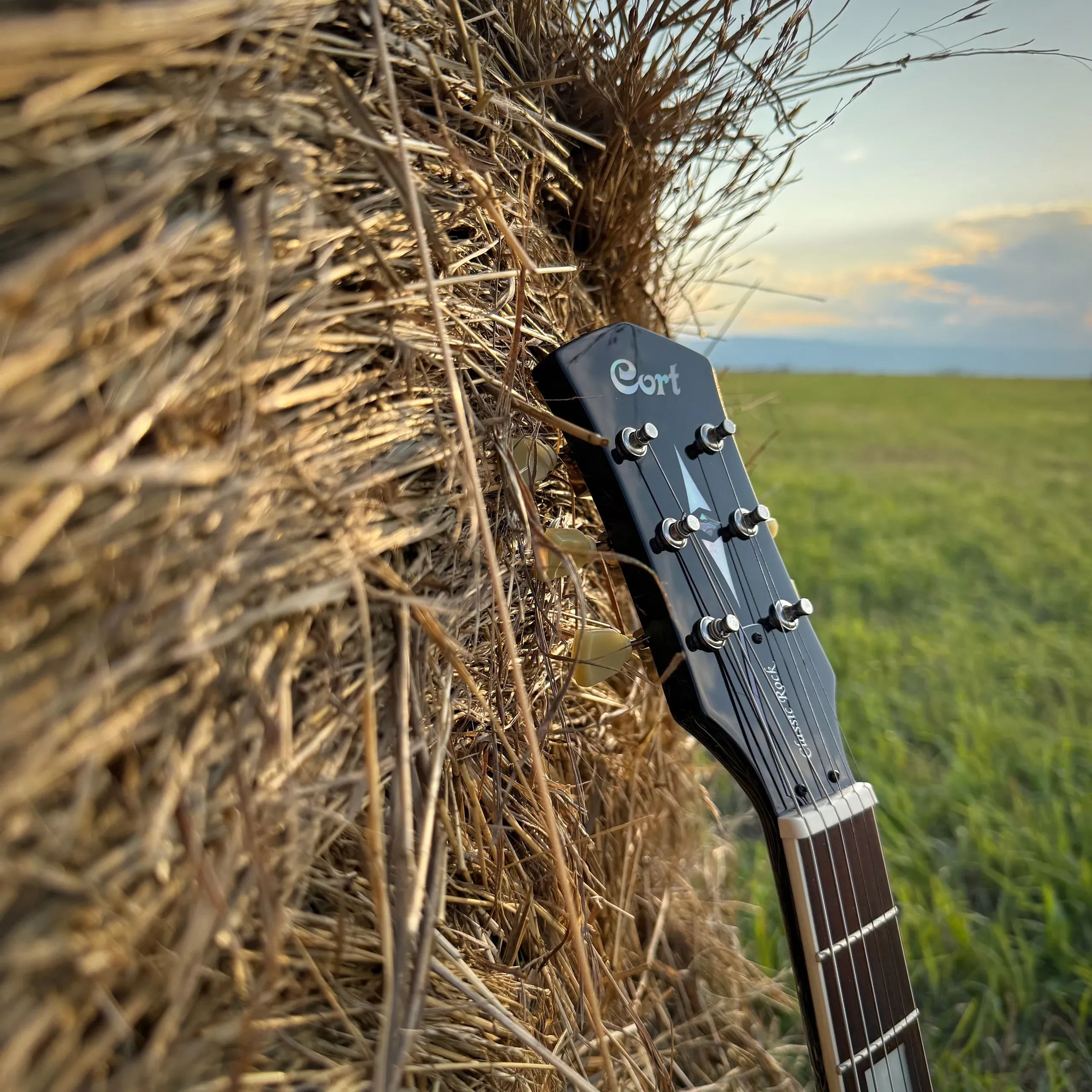 Изображение №10