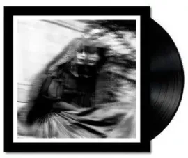 Виниловая пластинка The Gallows – Desolation Sounds (Релиз 2015)