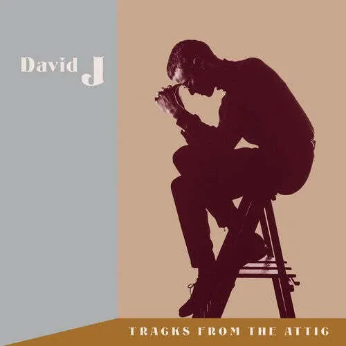 Виниловая пластинка David J – Tracks From The Attic, полупрозрачный коричневый винил (Релиз 2024)