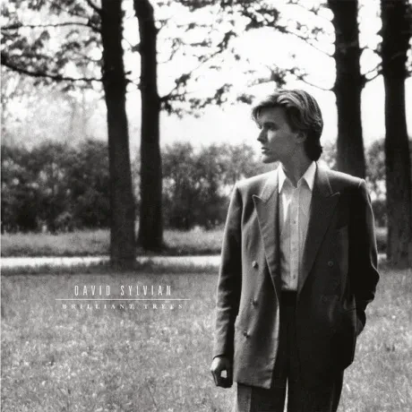 Виниловая пластинка David Sylvian – Brilliant Trees