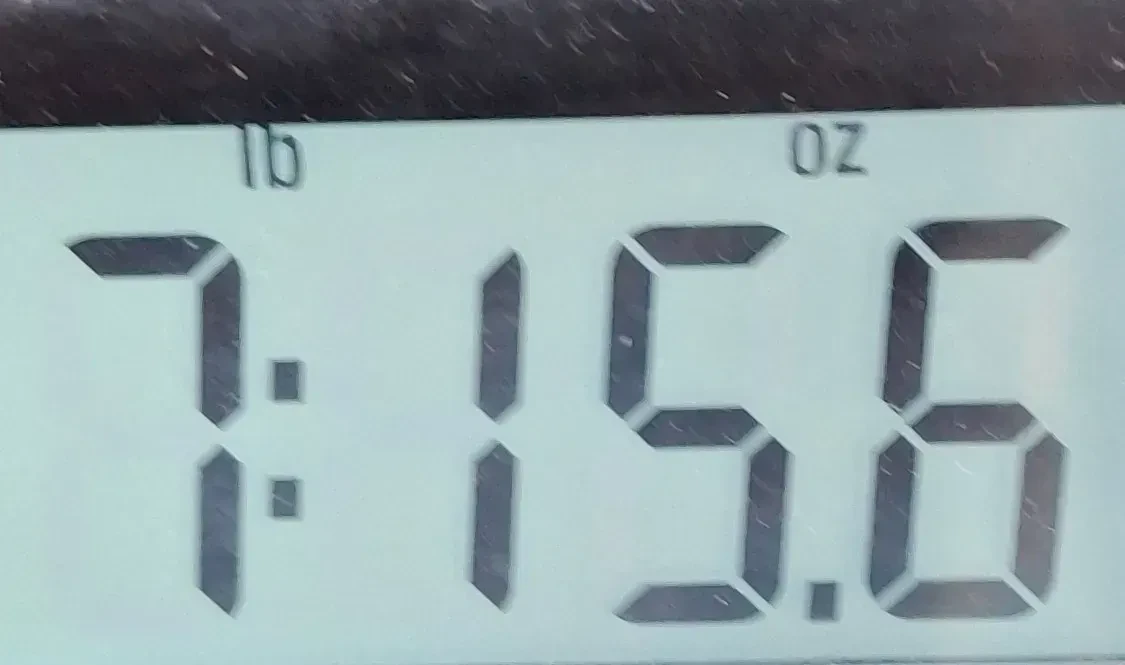 Изображение №9