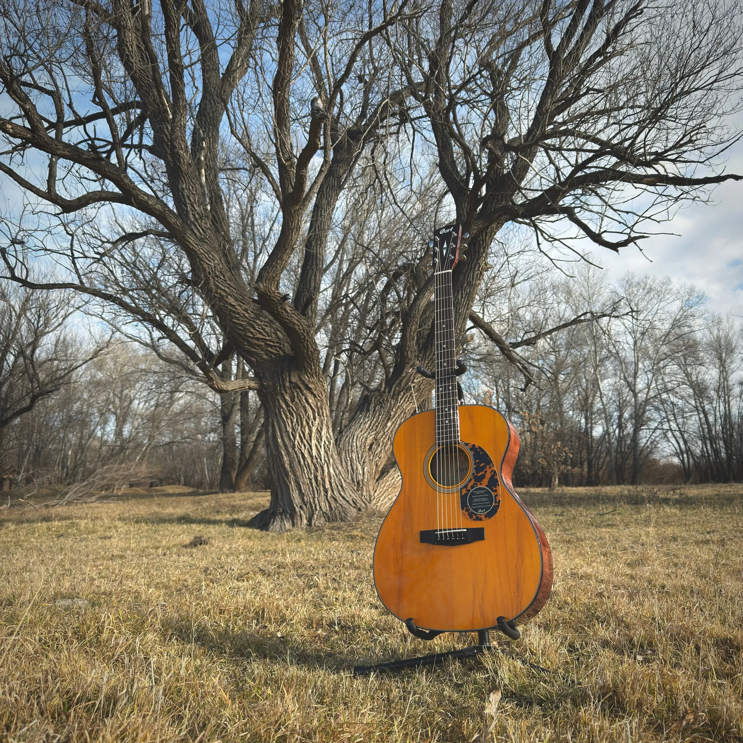 Изображение №2