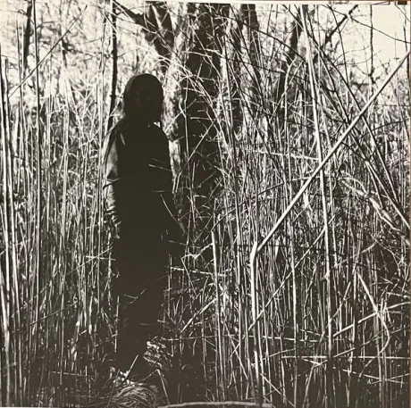 BILLY WOODS - Today, I Wrote Nothing (CD)