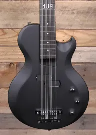 Schecter dUg Pinnick DP-12 12-String Bass Satin Black