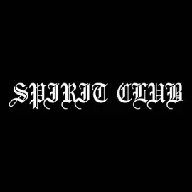 Виниловая пластинка Spirit Club – Room to Run (Релиз 2016)