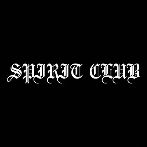 Виниловая пластинка Spirit Club – Room to Run (Релиз 2016)